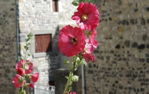 Cl&eacute;mensat, 4 saisons en images